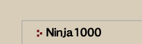 Ninja 1000
