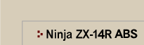 Ninja ZX-14R�iABS�t�����f���j