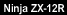 NinjaZX-12R
